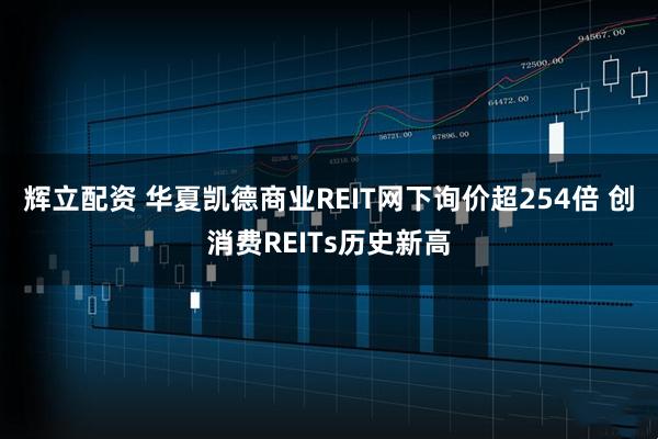 辉立配资 华夏凯德商业REIT网下询价超254倍 创消费REITs历史新高