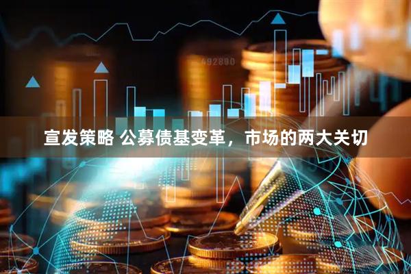 宣发策略 公募债基变革，市场的两大关切