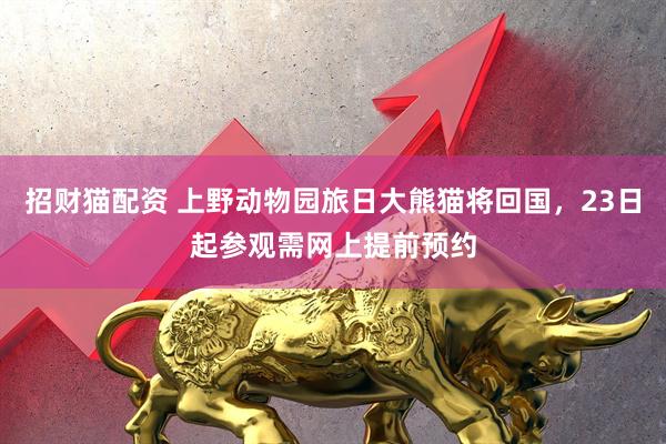 招财猫配资 上野动物园旅日大熊猫将回国，23日起参观需网上提前预约